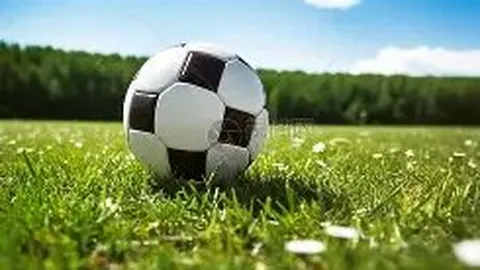 188bet金宝博体育